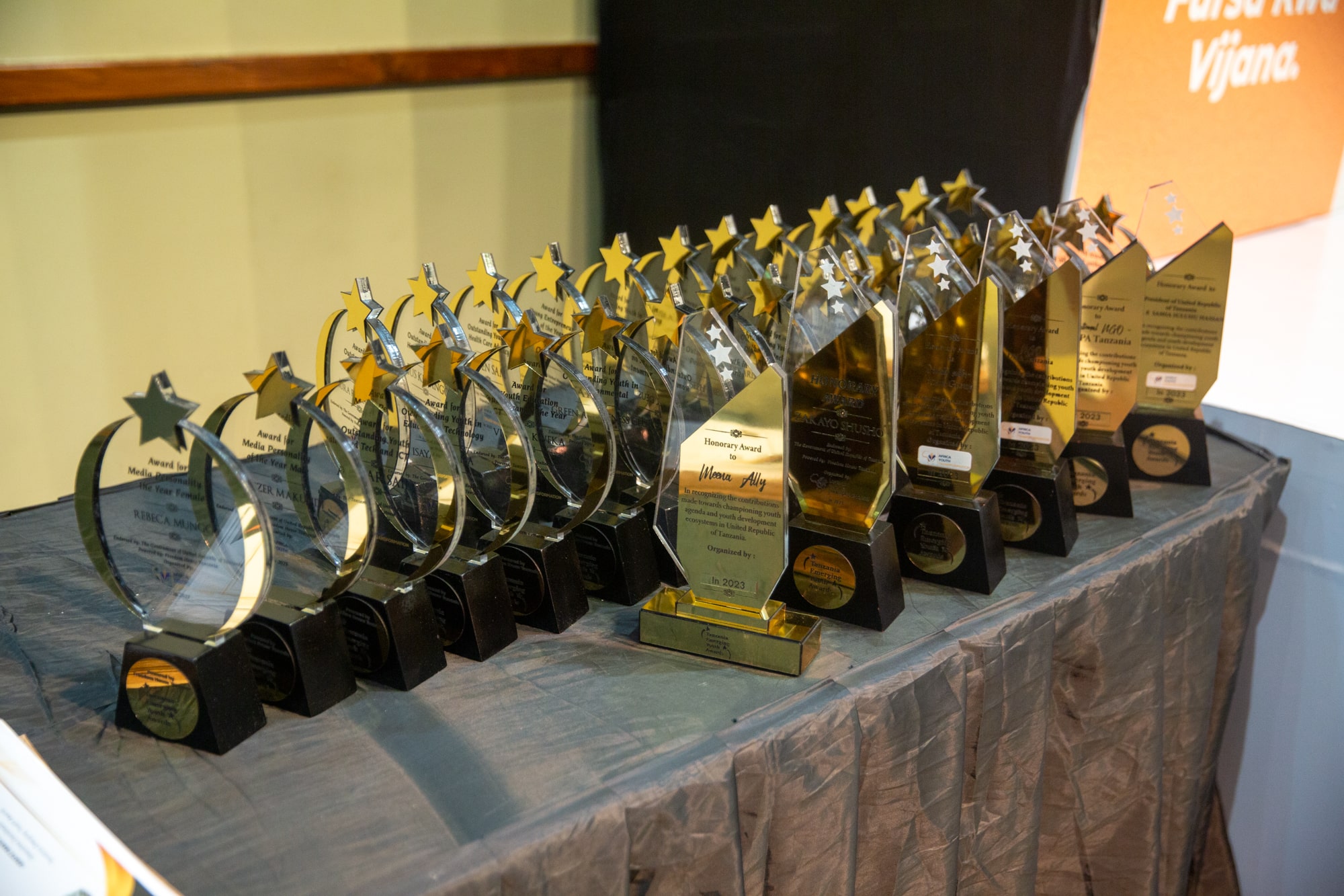 Tanzania Emerging Youth Awards (TEYA)